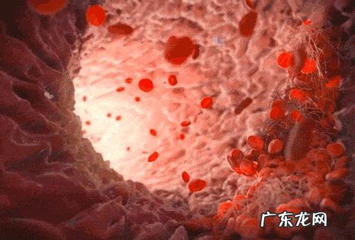 棕榈油到底能不能吃?