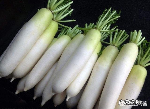 农村田地的白萝卜和胡萝卜收获的时间一样吗?那种产量高?