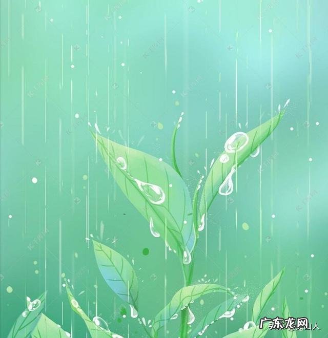 农村谚语:谷雨难得雨,是什么意思?