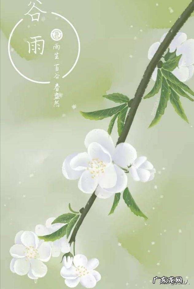 农村谚语:谷雨难得雨,是什么意思?