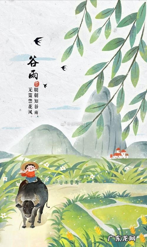 农村谚语:谷雨难得雨,是什么意思?