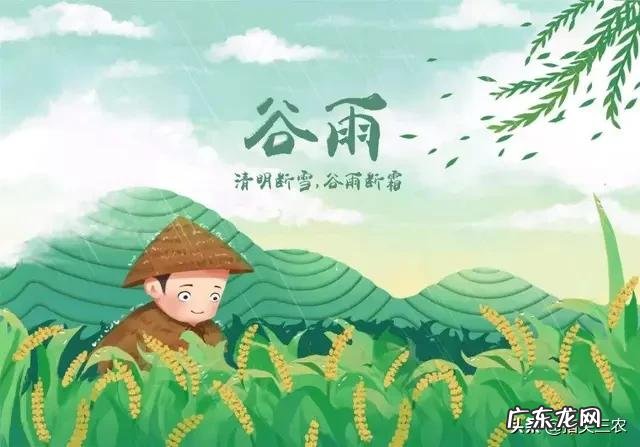 农村谚语:谷雨难得雨,是什么意思?