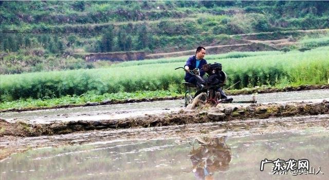 农村谚语:谷雨难得雨,是什么意思?
