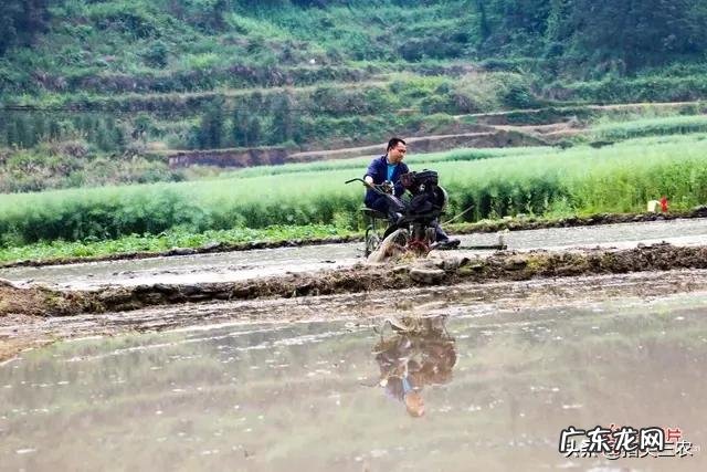 农村谚语:谷雨难得雨,是什么意思?