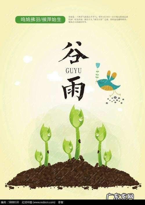农村谚语:谷雨难得雨,是什么意思?