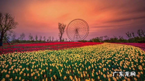 清明节自驾游攻略 清明自驾游攻略