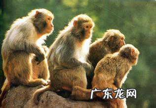 清明节自驾游攻略 清明自驾游攻略