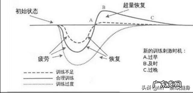 每天健身却不长肌肉是什么原因？