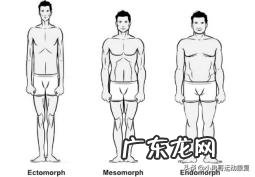 每天健身却不长肌肉是什么原因?