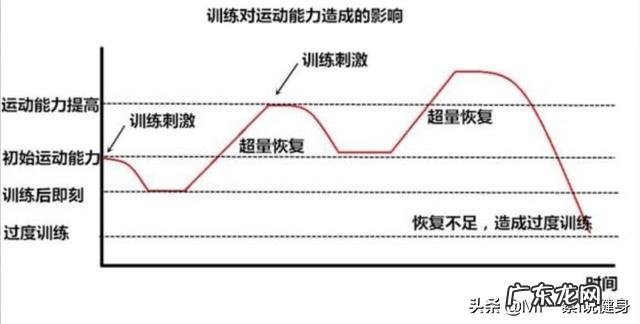每天健身却不长肌肉是什么原因?