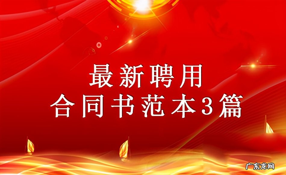 聘任书内容怎么写 聘书怎么写 范文