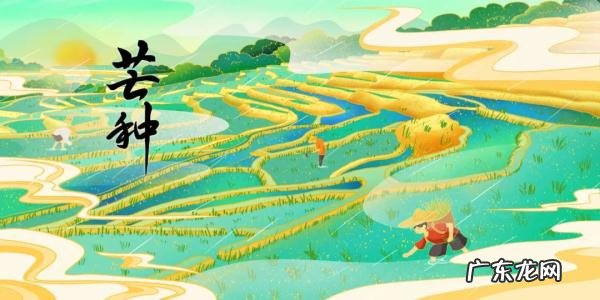 芒种节气的简介 芒种节是什么节日