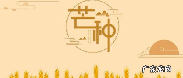 芒种节气的简介 芒种节是什么节日