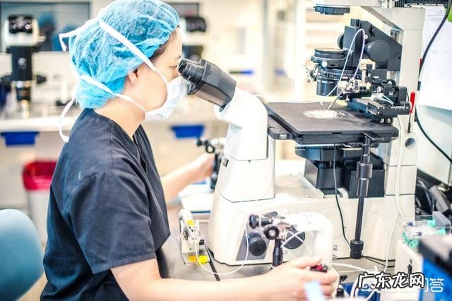 美国试管婴儿全过程是怎样的?