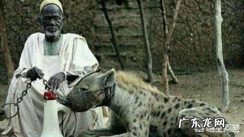 目前地球上还有多少种野生动物,你最喜欢什么,最怕什么?