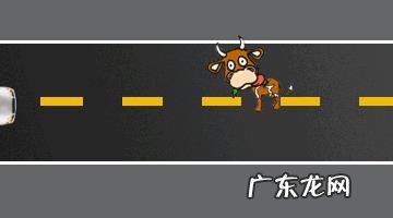 汽车是如何漂移的?