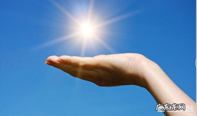 补钙为什么要吃维生素D?哪些食物富含维生素D?