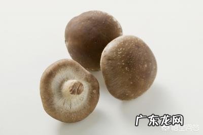 补钙为什么要吃维生素D?哪些食物富含维生素D?