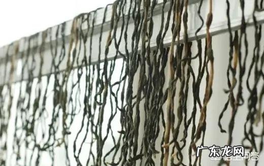 卤菜店的干豆角怎么做?