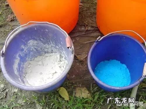 波尔多液怎样配制？