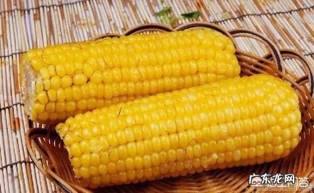 吃玉米到底能不能减肥?