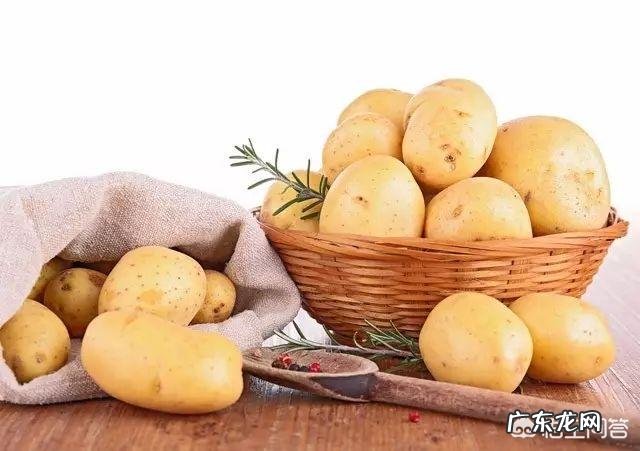 吃玉米到底能不能减肥?