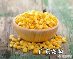 吃玉米到底能不能减肥?