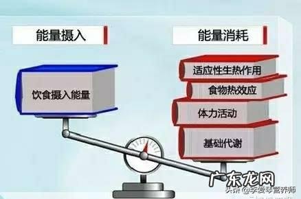 吃玉米到底能不能减肥?