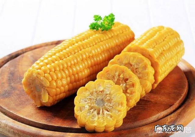吃玉米到底能不能减肥?