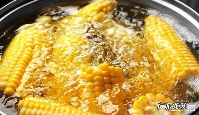 吃玉米到底能不能减肥?