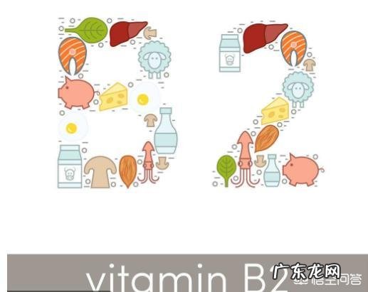 维生素B2有什么作用?