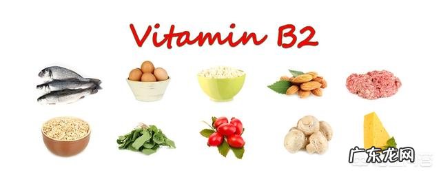 维生素B2有什么作用?