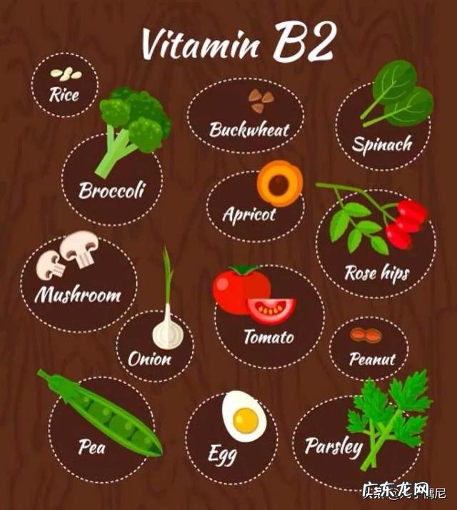 维生素B2有什么作用?