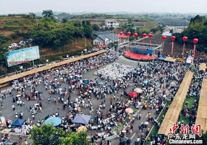 四川地区种植西瓜 四川西瓜产地有哪些