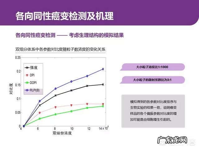 毕业论文答辩PPT怎么写?