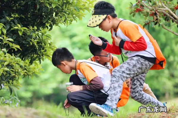 胶南哪个楼盘房子比较好 胶南哪里的房子比较好