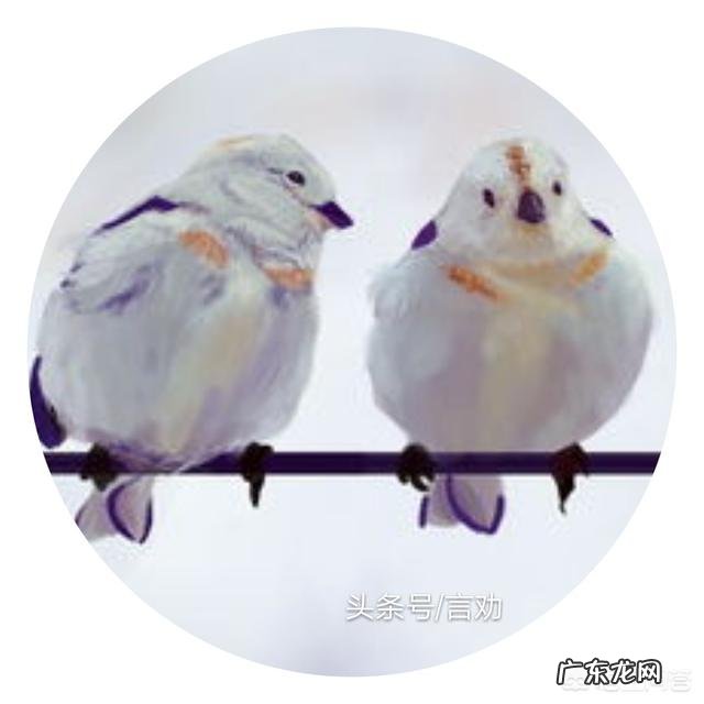 夫妻间应该怎么沟通才能一直走下去?