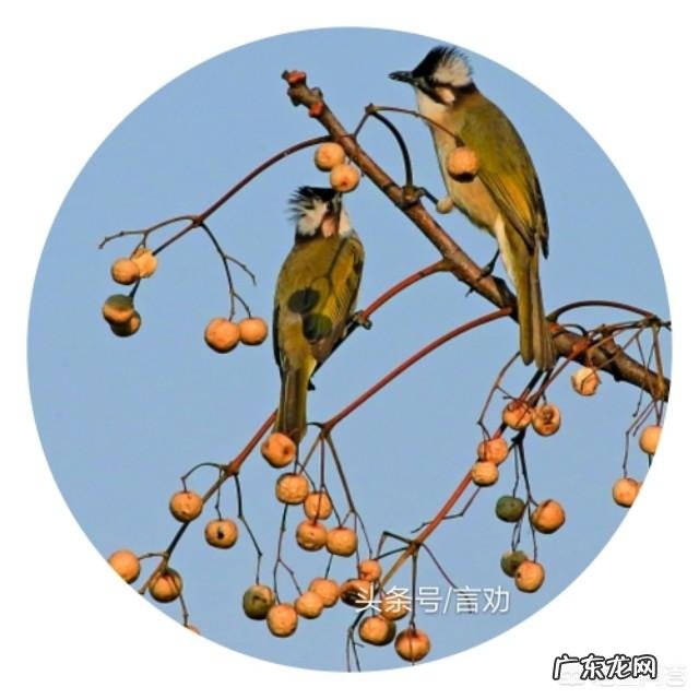 夫妻间应该怎么沟通才能一直走下去?