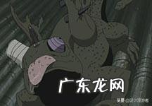 火影:除了蛤蟆、蛞蝓、和蛇,还有什么通灵兽?