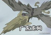 火影:除了蛤蟆、蛞蝓、和蛇,还有什么通灵兽?