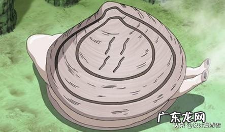 火影:除了蛤蟆、蛞蝓、和蛇,还有什么通灵兽?