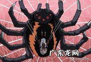 火影:除了蛤蟆、蛞蝓、和蛇,还有什么通灵兽?