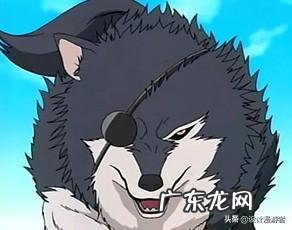 火影：除了蛤蟆、蛞蝓、和蛇，还有什么通灵兽？