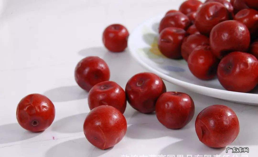 酸枣泡水有什么好处