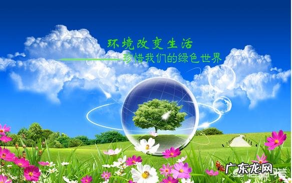 马上就是植树节了，植树节是怎么来的？