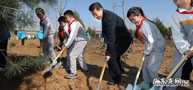 马上就是植树节了,植树节是怎么来的?