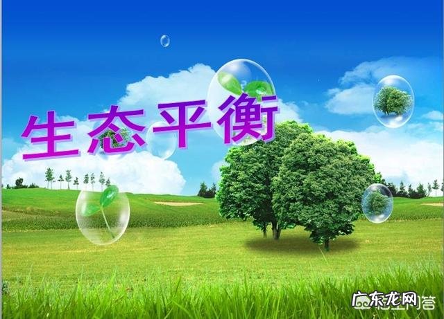 马上就是植树节了，植树节是怎么来的？