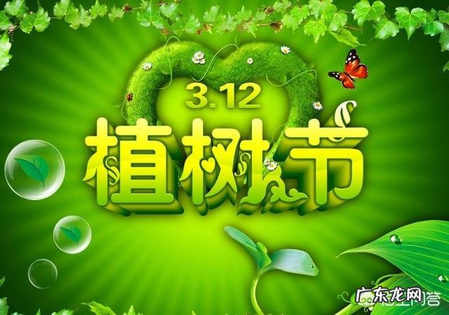 马上就是植树节了,植树节是怎么来的?