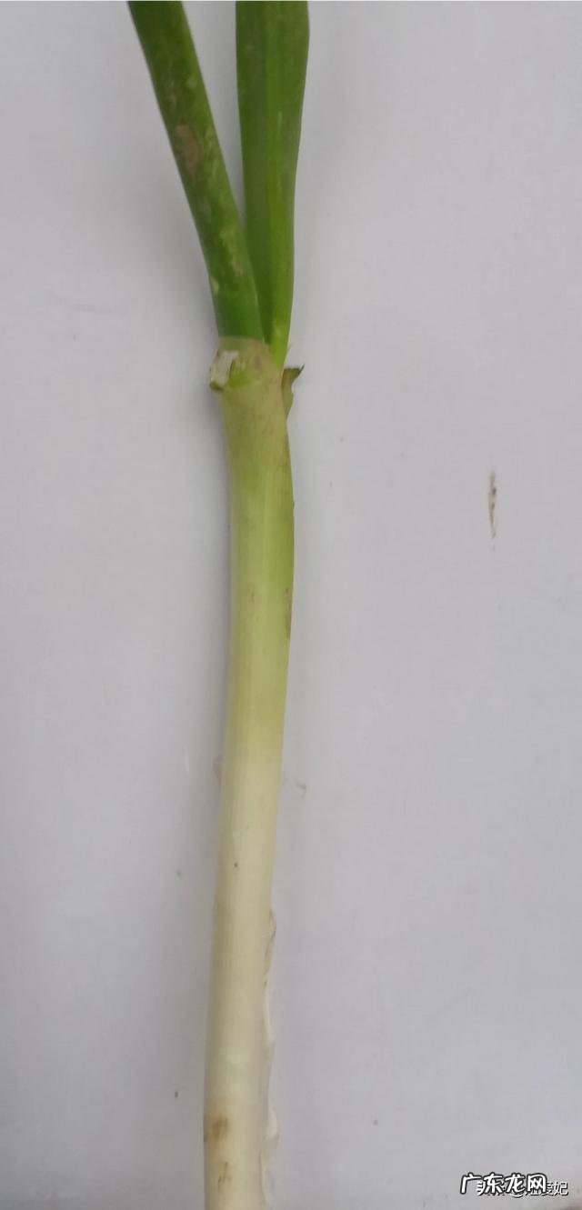 怎么样才能让富婆爱上我?