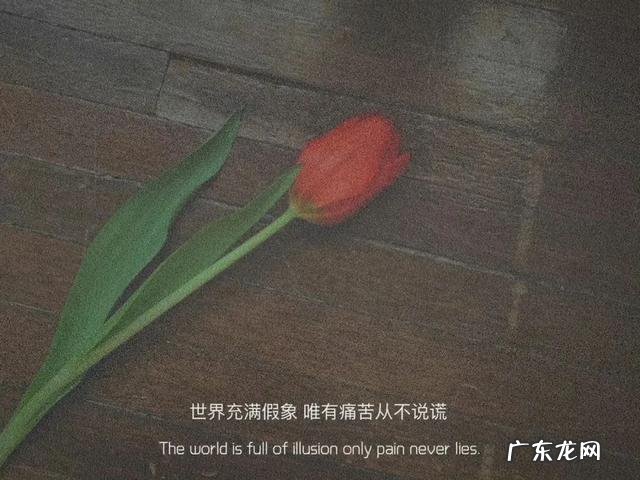 有哪些现实又扎心的句子?